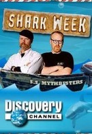 Discovery. Как выжить среди акул (2007)