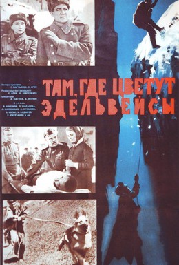 Постер фильма Там, где цветут эдельвейсы (1966)