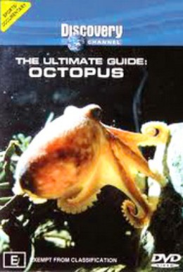 Постер фильма BBC: Последний проводник: осьминоги (1999)