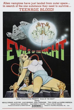 Постер фильма Зло в ночи (1985)