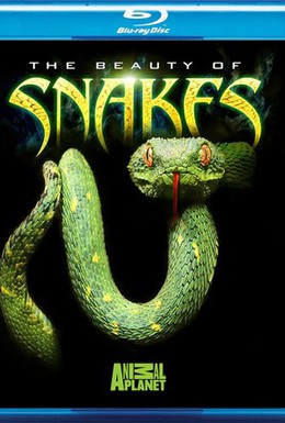 Постер фильма Красота змей (2005)