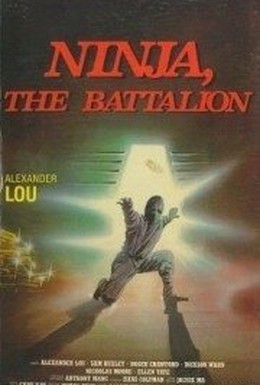 Постер фильма Батальон Ниндзя (1988)