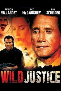 Постер фильма Жестокая справедливость (1994)