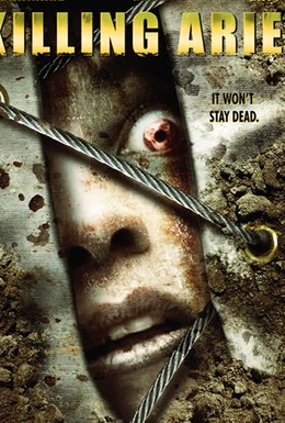 Постер фильма Убийство Ариэль (2008)