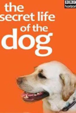 Постер фильма BBC. Тайная жизнь собак (2013)