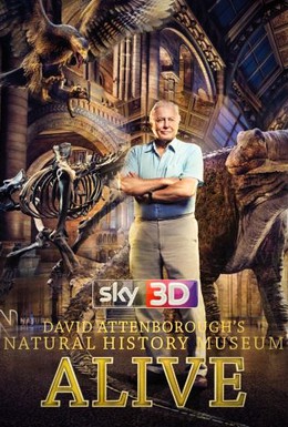 Постер фильма Музей естественной истории с Дэвидом Аттенборо (2014)