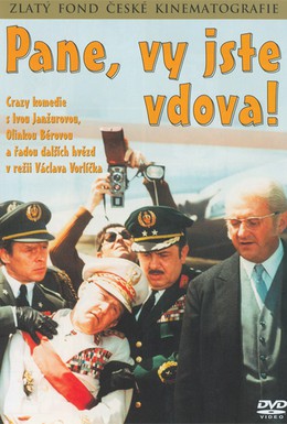 Постер фильма Пан, вы вдова (1971)