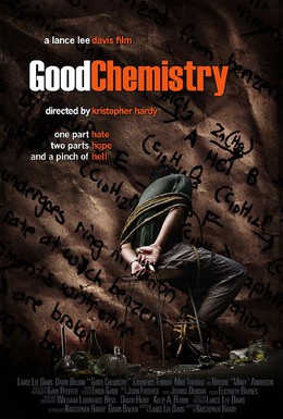 Постер фильма Хорошая химия (2008)