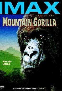 Постер фильма Горная горилла (1992)