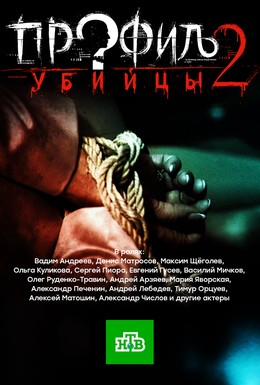 Постер фильма Профиль убийцы 2 (2015)