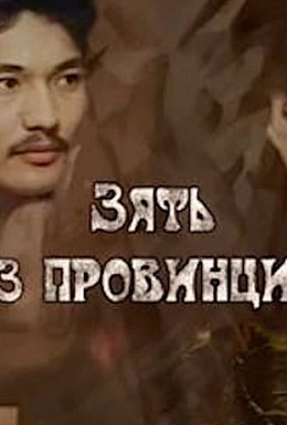 Постер фильма Зять из провинции (1987)