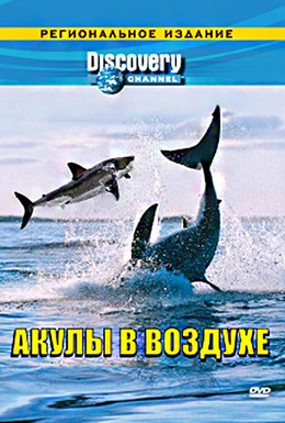 Постер фильма Акулы в воздухе (2003)