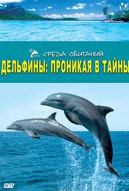 Постер фильма Дельфины: Проникая в тайны (2006)