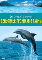 Дельфины: Проникая в тайны (2006)
