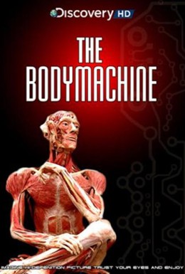 Постер фильма Механизм тела (2008)