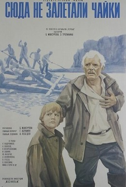 Постер фильма Сюда не залетали чайки (1978)
