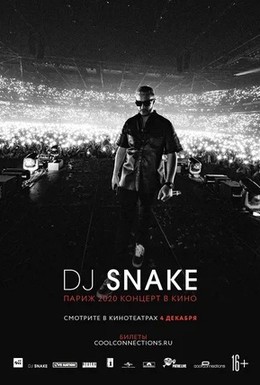 Постер фильма DJ SNAKE: Париж 2020. Концерт в кино (2020)