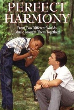 Постер фильма Идеальная гармония (1991)