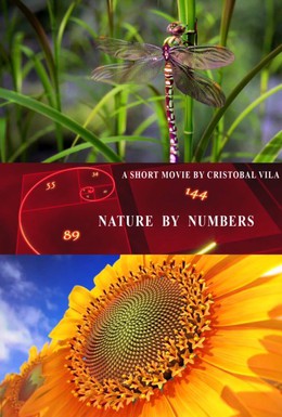 Постер фильма Природа в числах (2010)