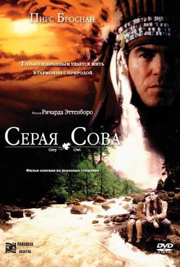 Постер фильма Серая сова (1999)