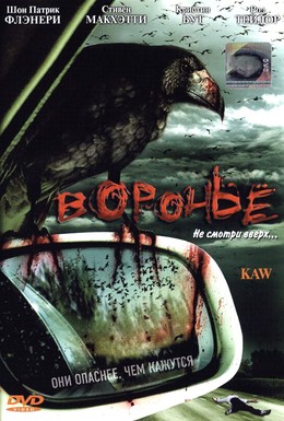 Постер фильма Воронье (2007)
