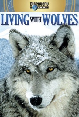 Постер фильма Жизнь с волками (2005)