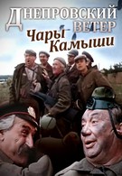 Днепровский ветер. Чары-камыши (1976)