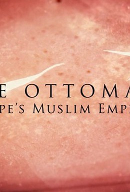 Постер фильма Турки-османы. Мусульманские властители Европы (2013)