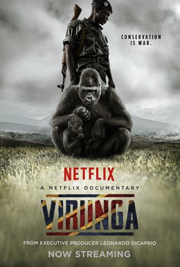 Постер фильма Вирунга (2014)