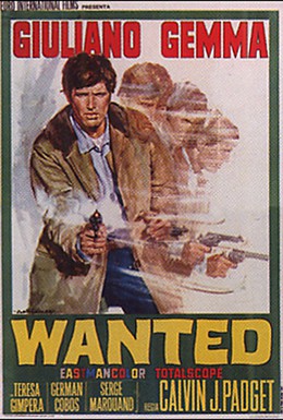 Постер фильма В розыске (1967)