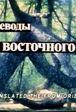 Постер фильма Переводы с восточного (1999)
