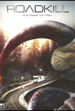 Постер фильма Убийственная поездка (2011)