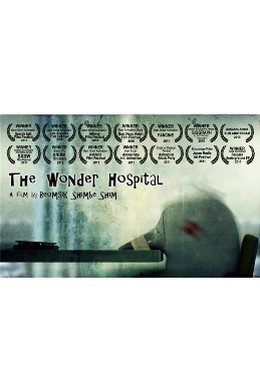 Постер фильма Чудесная больница (2010)