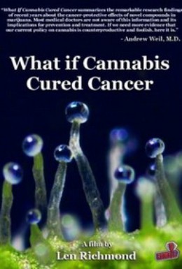 Постер фильма Что если марихуана лечила бы рак (2010)