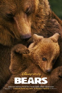 Постер фильма Медведи (2014)