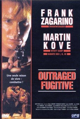 Постер фильма Разгневанный беглец (1995)