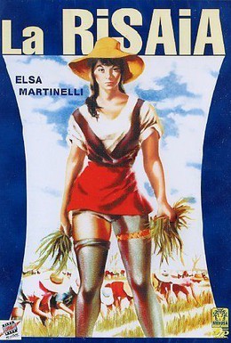 Постер фильма Рисовое поле (1956)