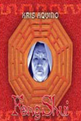 Постер фильма Фэн-шуй (2004)