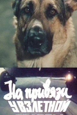 Постер фильма На привязи у взлетной полосы (1989)