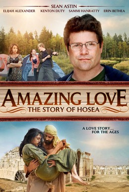 Постер фильма Удивительная любовь (2012)