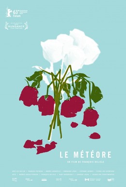 Постер фильма Метеор (2013)
