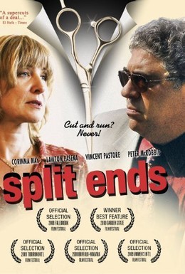 Постер фильма Split Ends (2009)