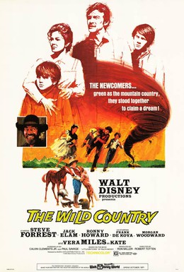 Постер фильма Повеса за городом (1970)