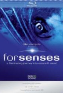 Постер фильма Forsenses: A Fascinating Journey Into Nature & Sound (2009)