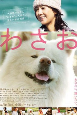 Постер фильма Васао (2011)