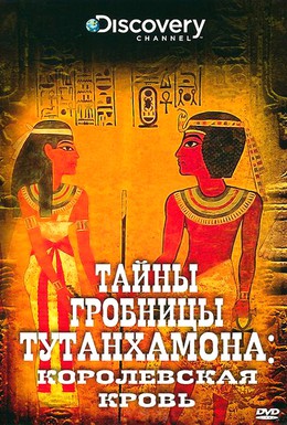 Постер фильма Тайны гробницы Тутанхамона (2010)