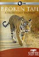PBS Nature. Сломанный хвост. Последнее путешествие тигра (2010)