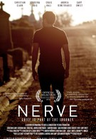 Нерв (2013)