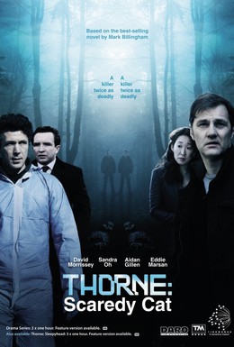 Постер фильма Торн: Пуганая ворона (2010)
