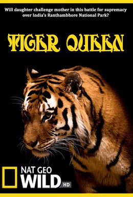 Постер фильма Королева тигров (2010)
